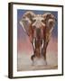 Dust Bath, Loisaba-Mark Adlington-Framed Giclee Print