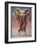 Dust Bath, Loisaba-Mark Adlington-Framed Premium Giclee Print