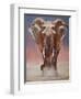 Dust Bath, Loisaba-Mark Adlington-Framed Premium Giclee Print