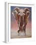 Dust Bath, Loisaba-Mark Adlington-Framed Giclee Print