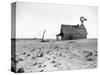 Dust Bowl Farm in Texas-Bettmann-Stretched Canvas