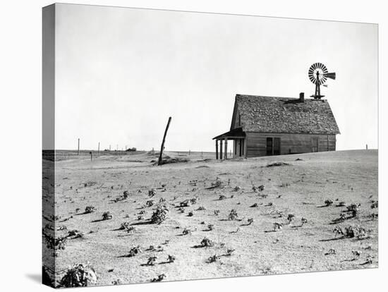 Dust Bowl Farm in Texas-Bettmann-Stretched Canvas