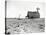 Dust Bowl Farm in Texas-Bettmann-Stretched Canvas