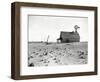 Dust Bowl Farm in Texas-Bettmann-Framed Photographic Print