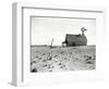 Dust Bowl Farm in Texas-Bettmann-Framed Photographic Print