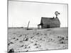 Dust Bowl Farm in Texas-Bettmann-Mounted Photographic Print