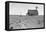 Dust Bowl Farm-Dorothea Lange-Framed Stretched Canvas