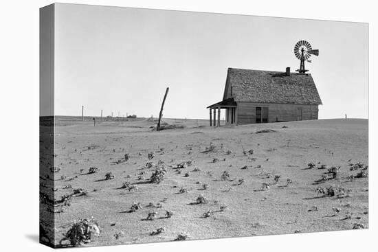 Dust Bowl Farm-Dorothea Lange-Stretched Canvas