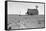 Dust Bowl Farm-Dorothea Lange-Framed Stretched Canvas