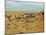 Dust Bowl-Science Source-Mounted Giclee Print