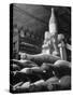 Dust Covered Wine and Brandy Bottles Lying on Racks in a Wine Cellar-Nina Leen-Stretched Canvas