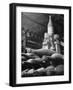 Dust Covered Wine and Brandy Bottles Lying on Racks in a Wine Cellar-Nina Leen-Framed Photographic Print