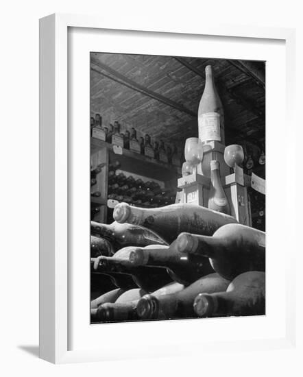 Dust Covered Wine and Brandy Bottles Lying on Racks in a Wine Cellar-Nina Leen-Framed Photographic Print