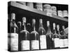 Dust-Covered Wine and Brandy Bottles Standing on Racks in a Wine Cellar-null-Stretched Canvas