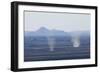 Dust Devils Twirl in the Desert Along the Mexico Border, Southern New Mexico-null-Framed Photographic Print