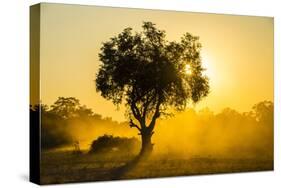 Dust in Backlight at Sunset, South Luangwa National Park, Zambia, Africa-Michael Runkel-Stretched Canvas