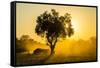 Dust in Backlight at Sunset, South Luangwa National Park, Zambia, Africa-Michael Runkel-Framed Stretched Canvas