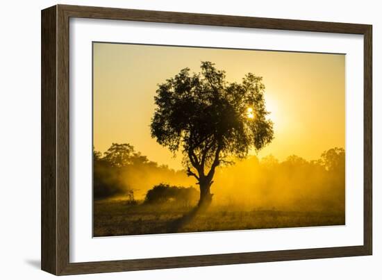 Dust in Backlight at Sunset, South Luangwa National Park, Zambia, Africa-Michael Runkel-Framed Photographic Print