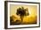 Dust in Backlight at Sunset, South Luangwa National Park, Zambia, Africa-Michael Runkel-Framed Photographic Print