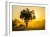 Dust in Backlight at Sunset, South Luangwa National Park, Zambia, Africa-Michael Runkel-Framed Photographic Print