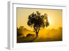 Dust in Backlight at Sunset, South Luangwa National Park, Zambia, Africa-Michael Runkel-Framed Photographic Print