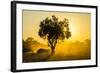 Dust in Backlight at Sunset, South Luangwa National Park, Zambia, Africa-Michael Runkel-Framed Photographic Print