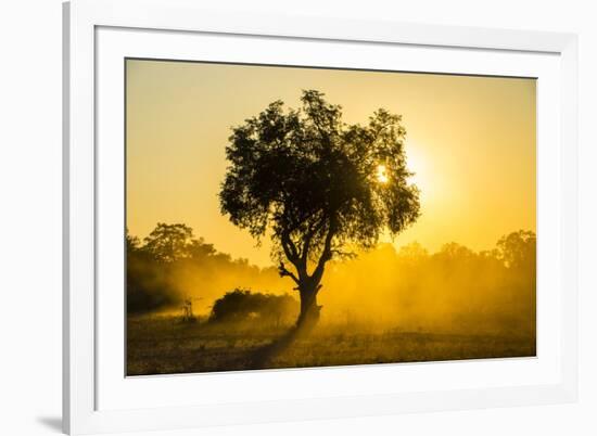 Dust in Backlight at Sunset, South Luangwa National Park, Zambia, Africa-Michael Runkel-Framed Photographic Print