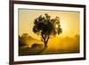 Dust in Backlight at Sunset, South Luangwa National Park, Zambia, Africa-Michael Runkel-Framed Photographic Print