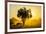 Dust in Backlight at Sunset, South Luangwa National Park, Zambia, Africa-Michael Runkel-Framed Photographic Print