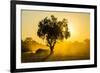 Dust in Backlight at Sunset, South Luangwa National Park, Zambia, Africa-Michael Runkel-Framed Photographic Print