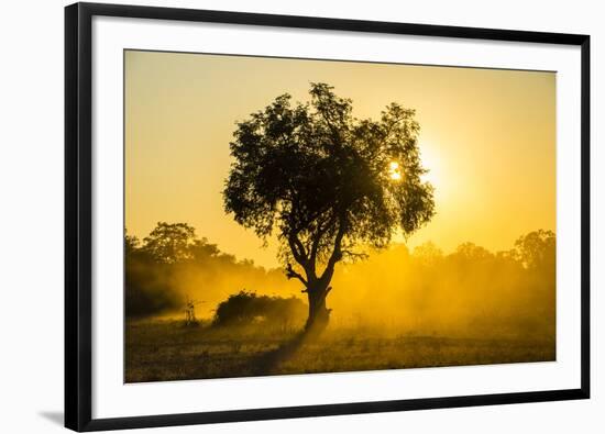 Dust in Backlight at Sunset, South Luangwa National Park, Zambia, Africa-Michael Runkel-Framed Photographic Print