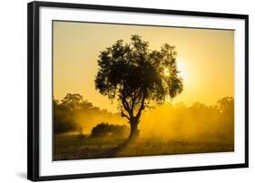 Dust in Backlight at Sunset, South Luangwa National Park, Zambia, Africa-Michael Runkel-Framed Photographic Print