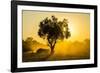 Dust in Backlight at Sunset, South Luangwa National Park, Zambia, Africa-Michael Runkel-Framed Photographic Print