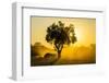 Dust in Backlight at Sunset, South Luangwa National Park, Zambia, Africa-Michael Runkel-Framed Photographic Print