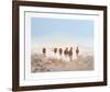 Dust In The Desert-Gwendolyn Branstetter-Framed Limited Edition