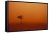 Dust Storm in the Australian Outback-Paul Souders-Framed Stretched Canvas