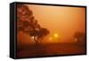 Dust Storm in the Australian Outback-Paul Souders-Framed Stretched Canvas