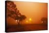 Dust Storm in the Australian Outback-Paul Souders-Stretched Canvas