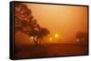 Dust Storm in the Australian Outback-Paul Souders-Framed Stretched Canvas