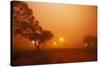 Dust Storm in the Australian Outback-Paul Souders-Stretched Canvas