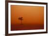 Dust Storm in the Australian Outback-Paul Souders-Framed Photographic Print