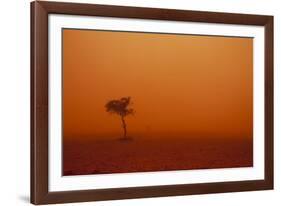 Dust Storm in the Australian Outback-Paul Souders-Framed Photographic Print