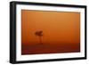 Dust Storm in the Australian Outback-Paul Souders-Framed Photographic Print