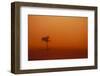 Dust Storm in the Australian Outback-Paul Souders-Framed Photographic Print