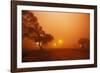 Dust Storm in the Australian Outback-Paul Souders-Framed Photographic Print