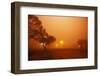 Dust Storm in the Australian Outback-Paul Souders-Framed Photographic Print