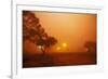 Dust Storm in the Australian Outback-Paul Souders-Framed Photographic Print