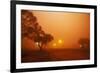 Dust Storm in the Australian Outback-Paul Souders-Framed Photographic Print