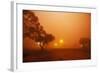 Dust Storm in the Australian Outback-Paul Souders-Framed Photographic Print