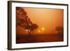 Dust Storm in the Australian Outback-Paul Souders-Framed Photographic Print